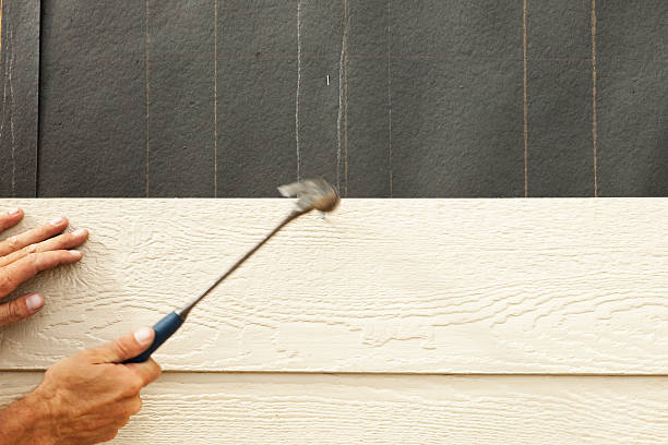 Best Siding for New Construction  in Camp Verde, AZ
